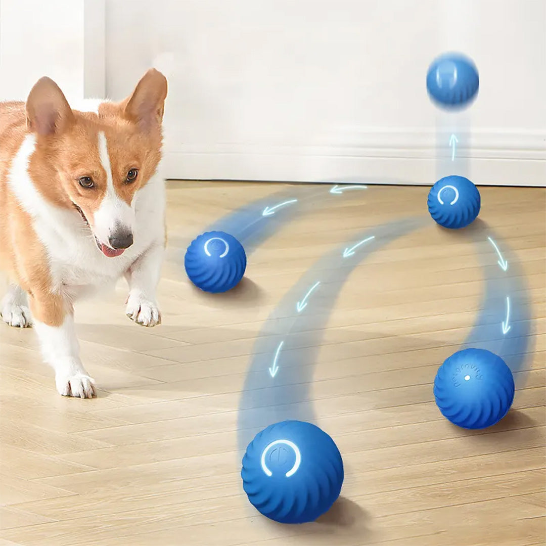 Interactive Pet Toys | Cat Rolling Ball Toy