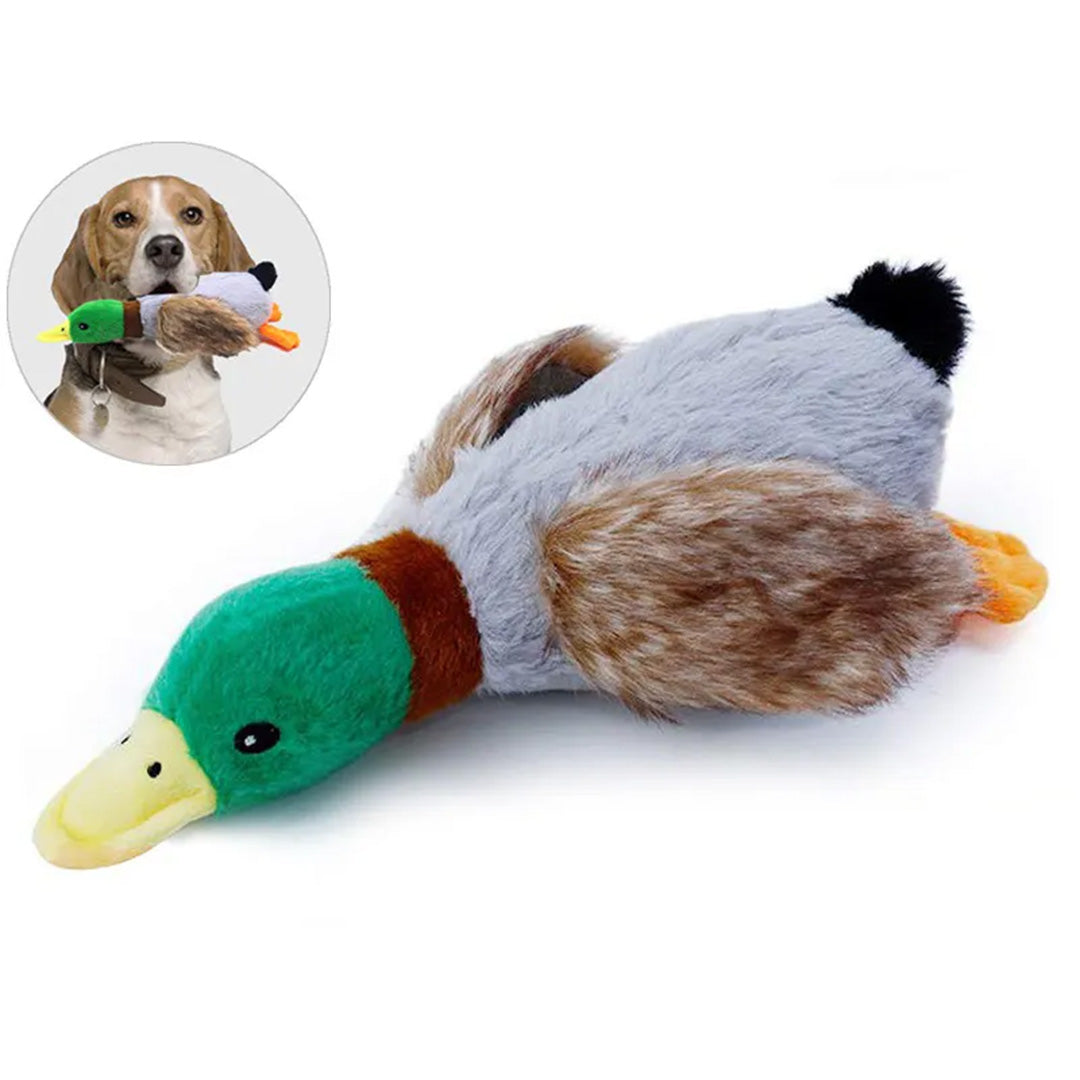 Duck Dog Toy | Squeaky Duck Dog Toy | My Pet Shop
