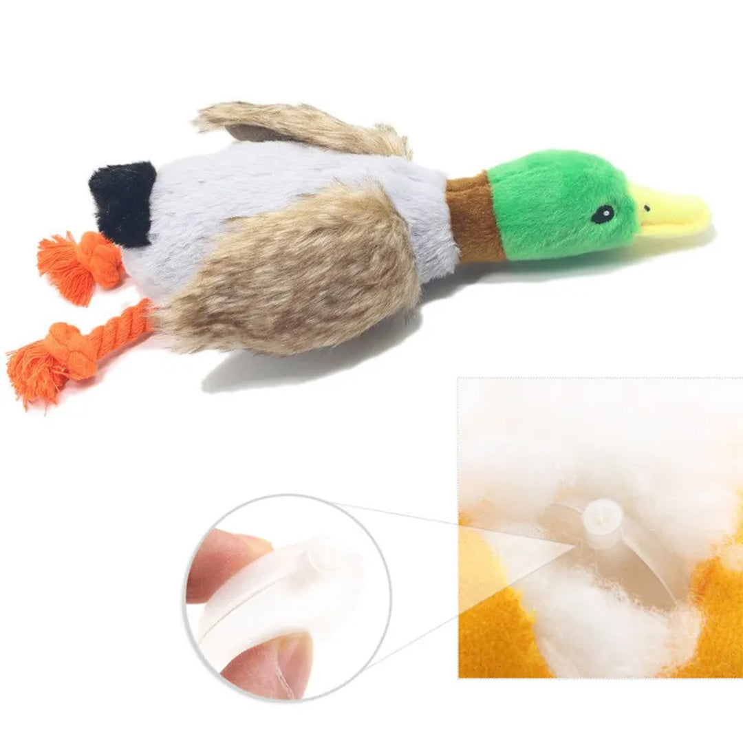 Duck Dog Toy | Squeaky Duck Dog Toy | My Pet Shop