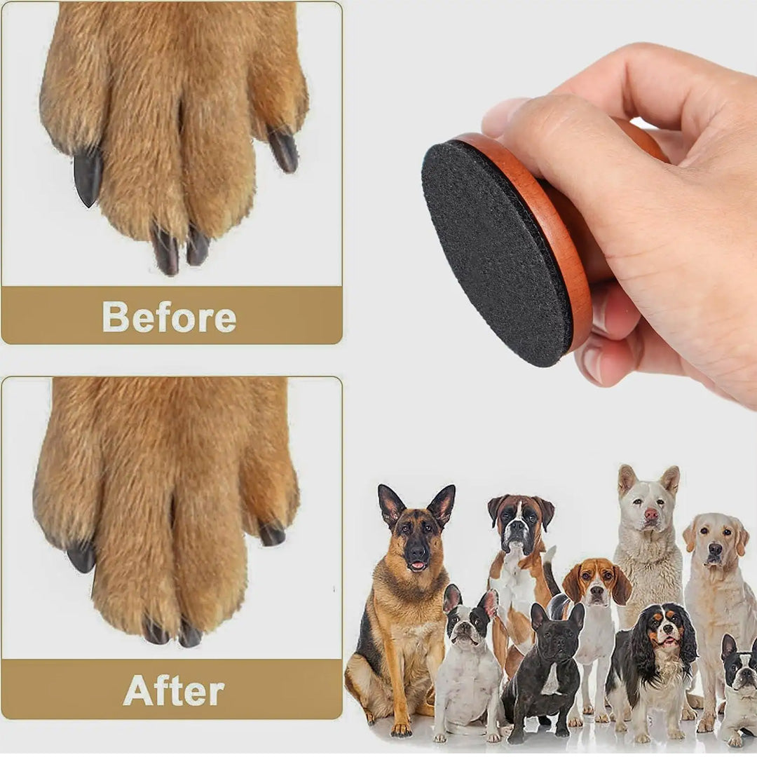 Dog Grooming Care Pack – Keep Your Dog Clean & Comfortable 🐾