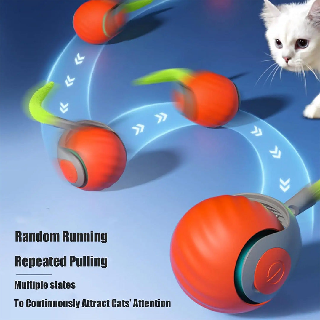 Interactive Pet Toys | Cat Rolling Ball Toy | My Pet Shop