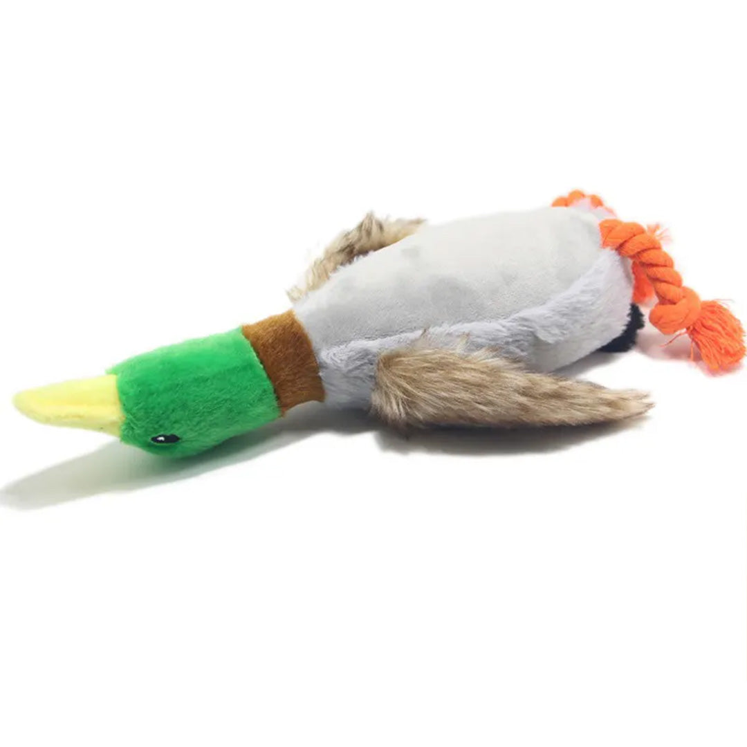 Duck Dog Toy | Squeaky Duck Dog Toy | My Pet Shop