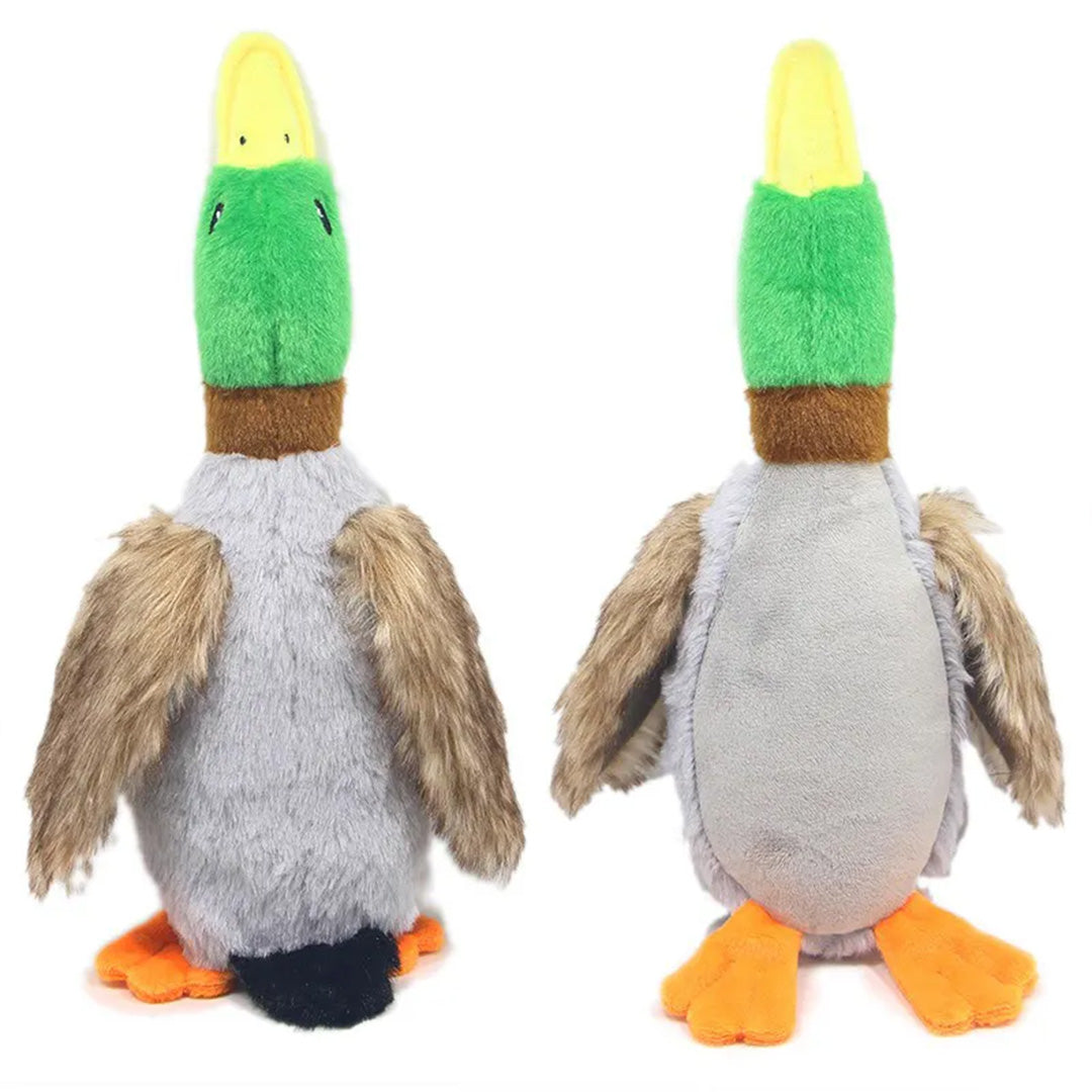 Duck Dog Toy | Squeaky Duck Dog Toy | My Pet Shop