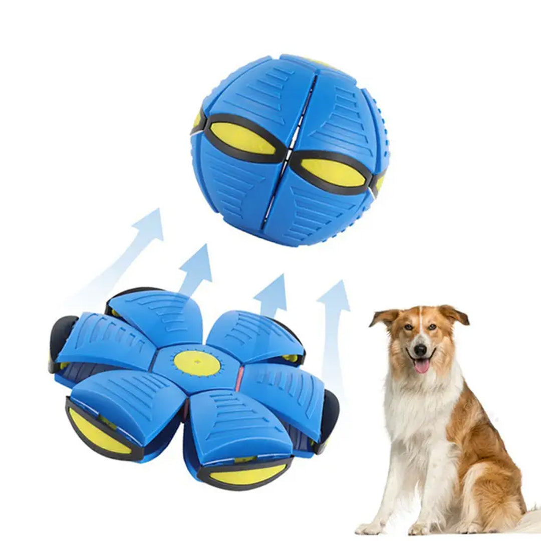 Flying Ball Toy | UFO Flying Toy | My Pet Shop