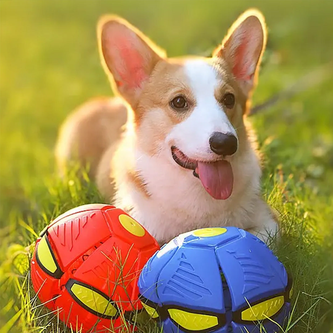 Flying Ball Toy | UFO Flying Toy | My Pet Shop